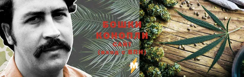 Бошки Шишки SATIVA & INDICA  Ардатов 